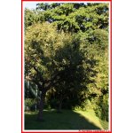 Impressionen Anlage_018.jpg